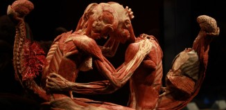 body worlds mostra