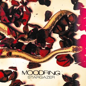 moodring cover album stargazer
